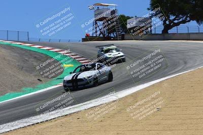 media/Jul-26-2022-Speed SF (Tue) [[35644a0384]]/Gold Group/Turn 3 (Corkscrew)/